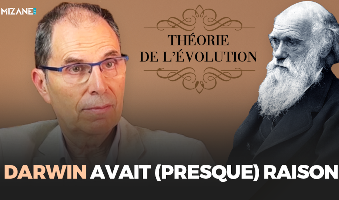 Sur Mizane TV, troisième et dernière partie de l'entretien scientifique que nous accordé l'astrophysicien et directeur de recherche au CNRS Bruno Guiderdoni. Cette fois, plongée dans la théorie synthétique de l'évolution. Darwin avait-il raison ? Que nous dit la science moderne sur l'origine de l'Homme ? Et cette théorie contredit-elle le récit coranique de la création de l'Homme ? Mizane.info